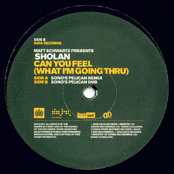 Matt Schwartz Presents Sholan : Can You Feel (What I'm Going Thru) (Sono Remixes) (12")