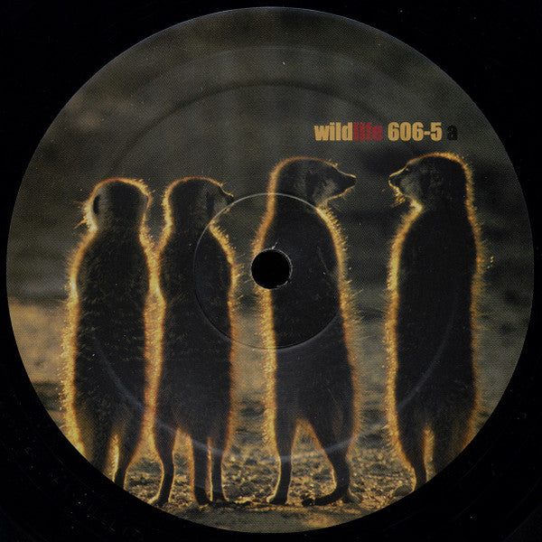 Swift Movers : People Come Together (12")