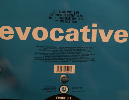 Deep Nation : You Can't Have My Love (12", Single)