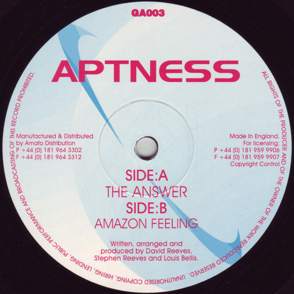Aptness : The Answer (12")