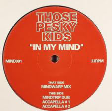 Those Pesky Kids : In My Mind (12")