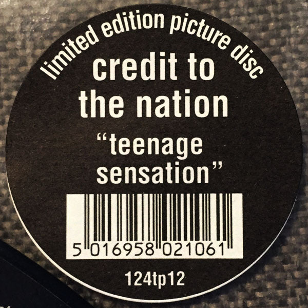 Credit To The Nation : Teenage Sensation (12", Ltd, Pic)