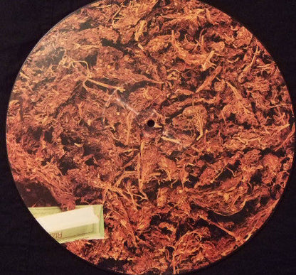 Credit To The Nation : Teenage Sensation (12", Ltd, Pic)