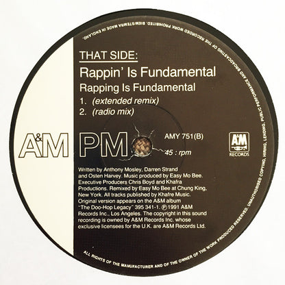 Rappin' Is Fundamental : Rapping Is Fundamental (12")
