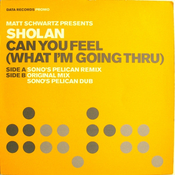 Matt Schwartz Presents Sholan : Can You Feel (What I'm Going Thru) (12", Promo)