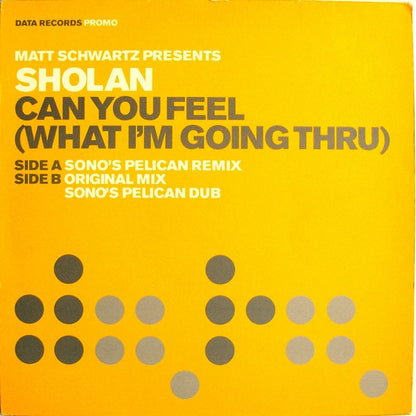 Matt Schwartz Presents Sholan : Can You Feel (What I'm Going Thru) (12", Promo)