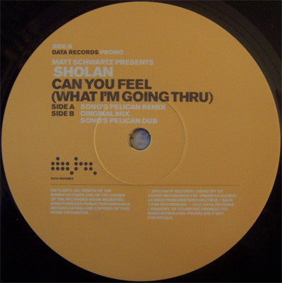 Matt Schwartz Presents Sholan : Can You Feel (What I'm Going Thru) (12", Promo)