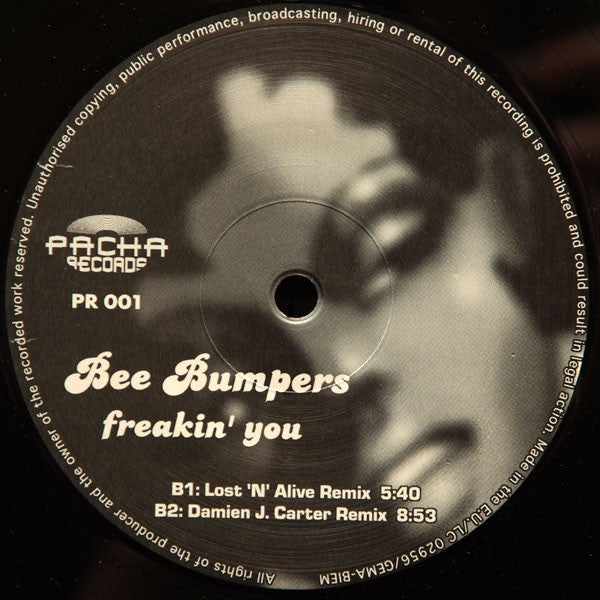 Bee Bumpers : Freakin' You (12")