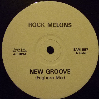 The Rockmelons : New Groove (12", Promo)