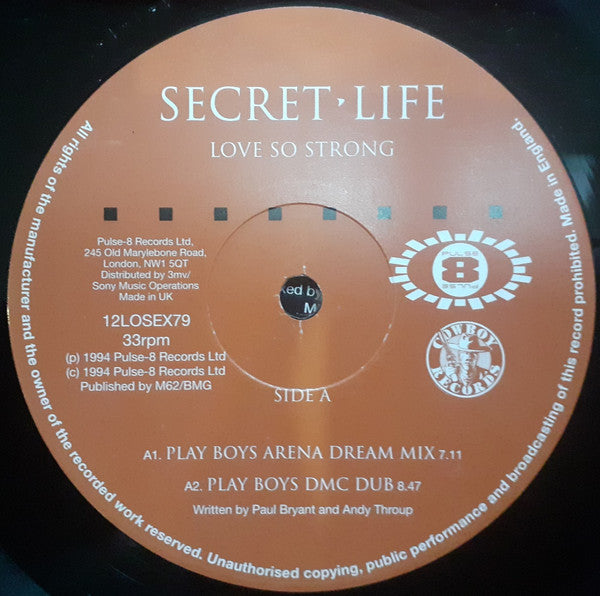 Secret Life : Love So Strong (12", Single)