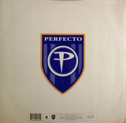 Grace : Not Over Yet (Paul Oakenfold / Dancing Divaz Remixes) (12", Dam)