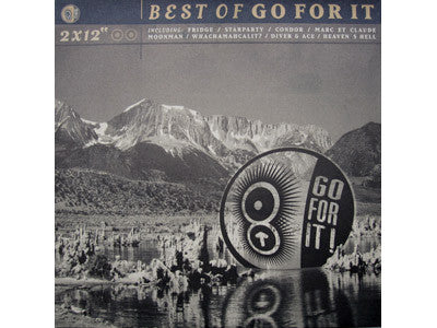 Various : Best Of Go For It (2x12", Comp)