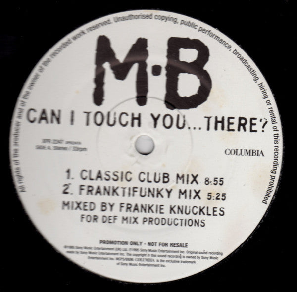 Michael Bolton : Can I Touch You…There? (12", Promo)