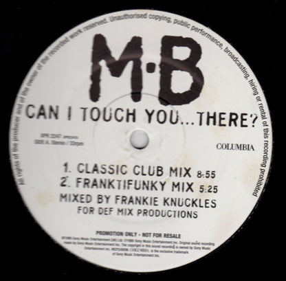 Michael Bolton : Can I Touch You…There? (12", Promo)