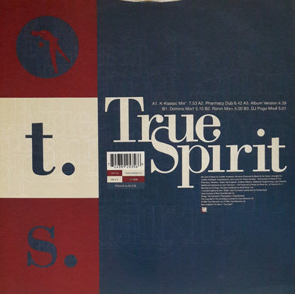 Carleen Anderson : True Spirit (12", Single)