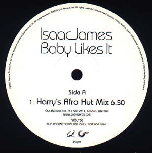 Isaac James : Baby Likes It (12", Promo)