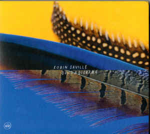 Robin Saville : Build A Diorama (LP, Album)
