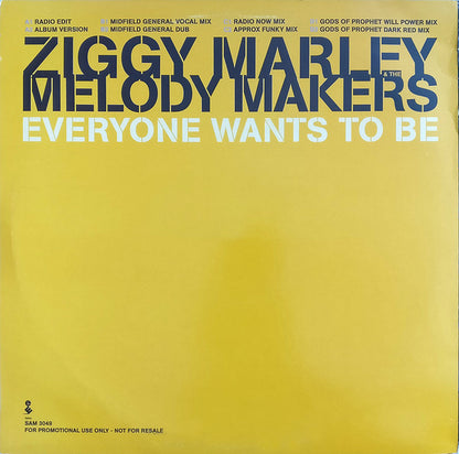 Ziggy Marley And The Melody Makers : Everyone Wants To Be (2x12", Promo)