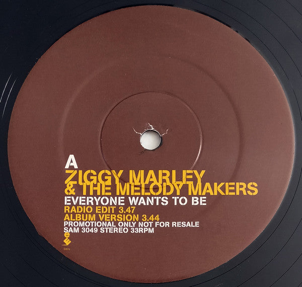 Ziggy Marley And The Melody Makers : Everyone Wants To Be (2x12", Promo)