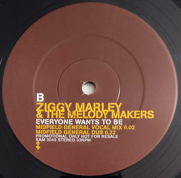 Ziggy Marley And The Melody Makers : Everyone Wants To Be (2x12", Promo)