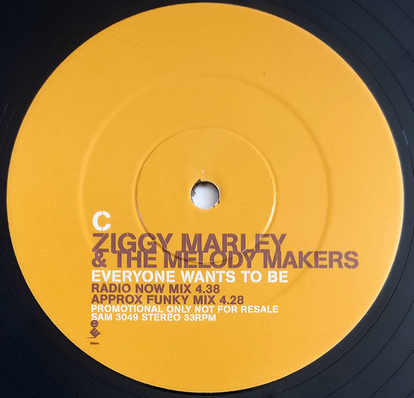 Ziggy Marley And The Melody Makers : Everyone Wants To Be (2x12", Promo)
