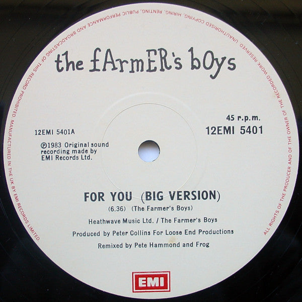 The Farmer's Boys : For You (12", Single)