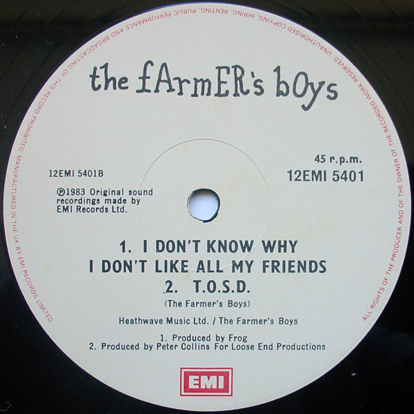 The Farmer's Boys : For You (12", Single)