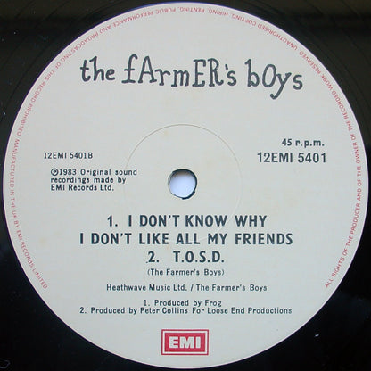 The Farmer's Boys : For You (12", Single)