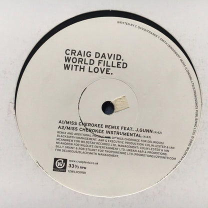 Craig David : World Filled With Love (12", Promo)