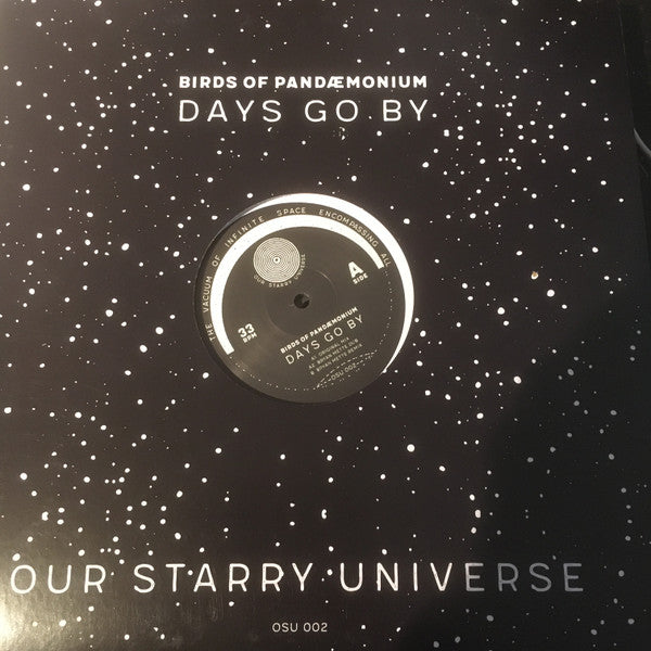 Birds Of Pandaemonium : Days Go By (12")