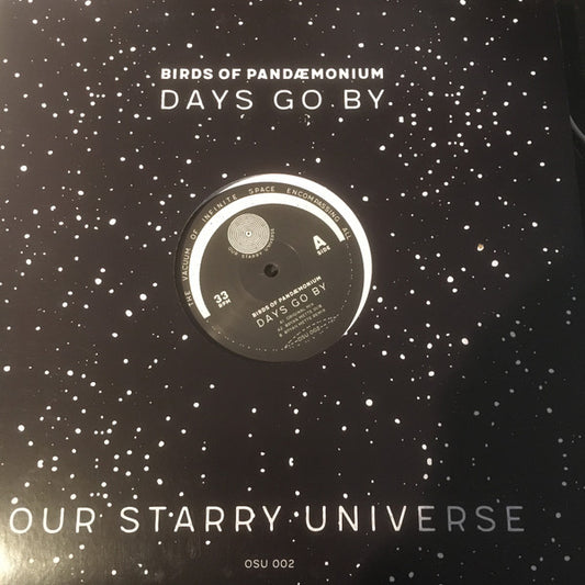 Birds Of Pandaemonium : Days Go By (12")