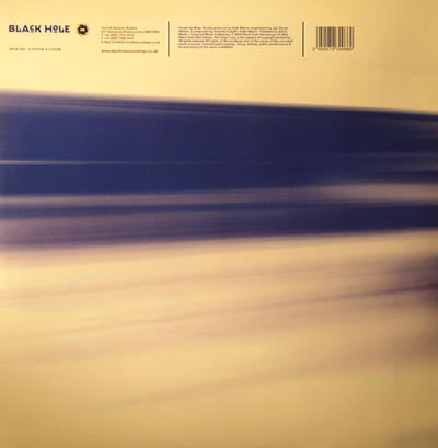 Flowerchild Feat. Wray* : Captivated (12")