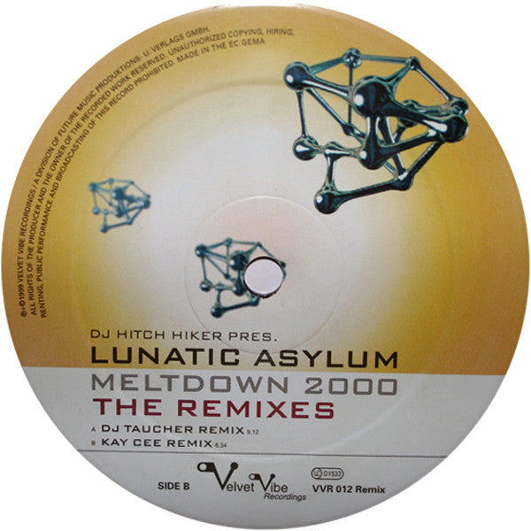 DJ Hitch Hiker Pres. Lunatic Asylum : Meltdown 2000 - The Remixes (12")