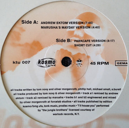 Tom Novy : I House U (Remixes) (12")