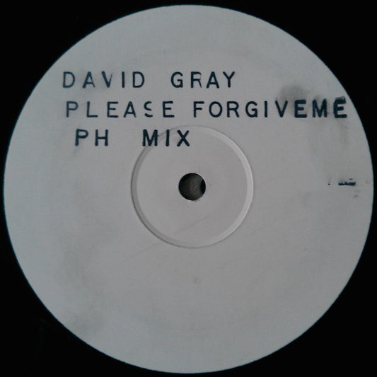 David Gray : Please Forgive Me (PH Mix) (12", S/Sided, W/Lbl)