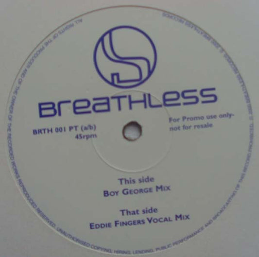 Zee Cowling : Never In A Million Years (2x12", Promo)