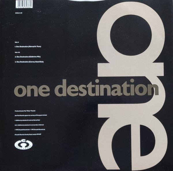 Light Of The World : One Destination (12")