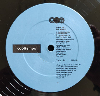 Light Of The World : One Destination (12")