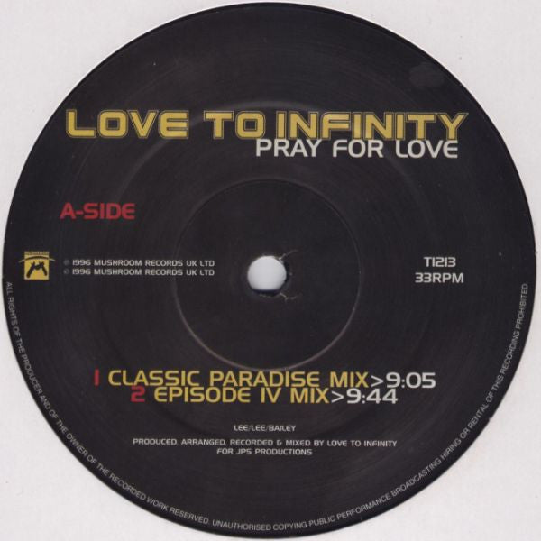 Love To Infinity : Pray For Love (12", Single)