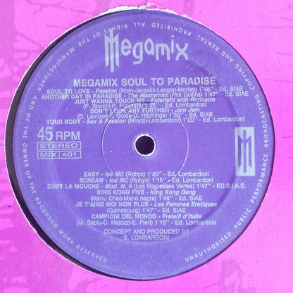 Various : Megamix - Soul To Paradise (12", Mixed)