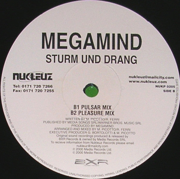 Megamind : Sturm Und Drang (12")