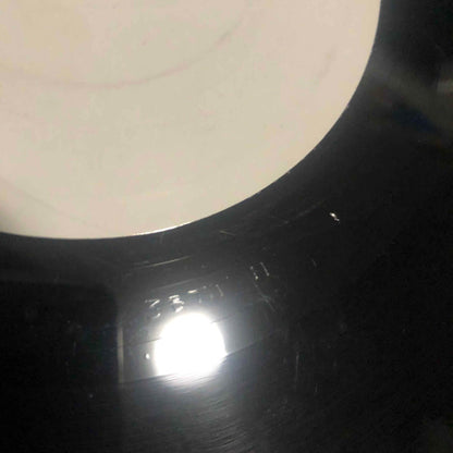 Rainstar : Push The Feeling (12", Promo)