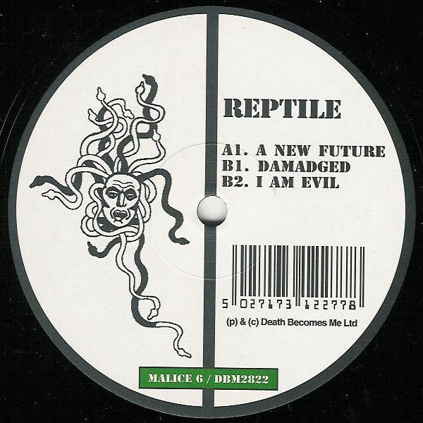 Reptile : A New Future (12")