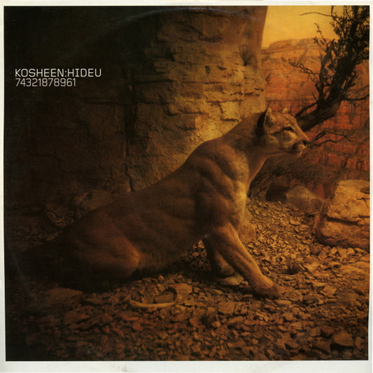 Kosheen : Hide U (12", Single)