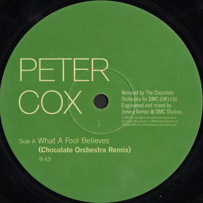 Peter Cox : What A Fool Believes (12", Promo)