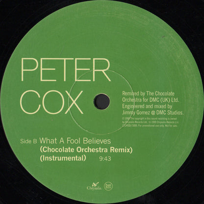 Peter Cox : What A Fool Believes (12", Promo)