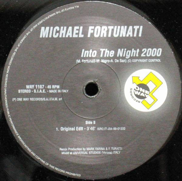Michael Fortunati : Into The Night 2000 (12")