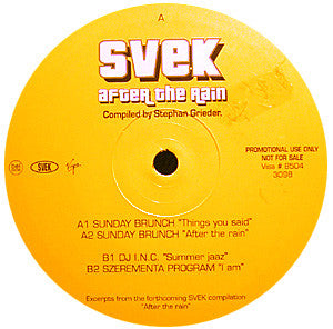 Various : After The Rain (12", Promo, Smplr)