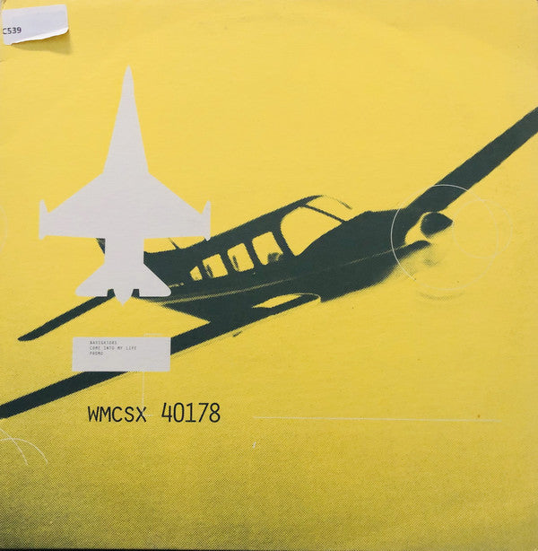 Navigators (2) : Come Into My Life (12", Promo)