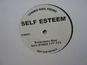 Self Esteem : Everybody Rise (12", Promo)